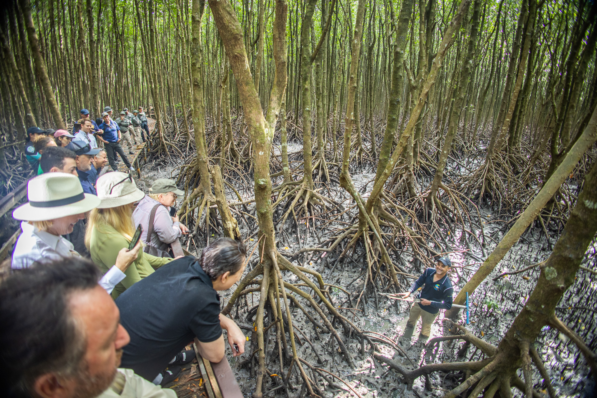 Blue carbon in action - Pollination | Climate Change Investment ...